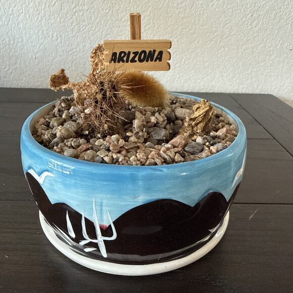 Unbranded Other - Arizona Southwest Ceramic Planter Pot w Saucer Desert Cactus Scene